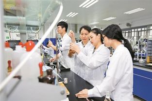 信息时代选择深圳信息学院