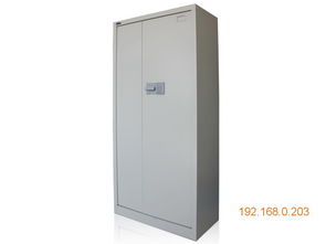 成安毕信工厂直销办公文件柜 品质保证，价格合理