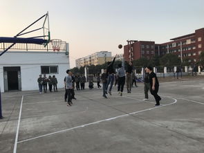 禹州实习实训基地友谊杯篮球赛 增进友谊，提升综合素质
